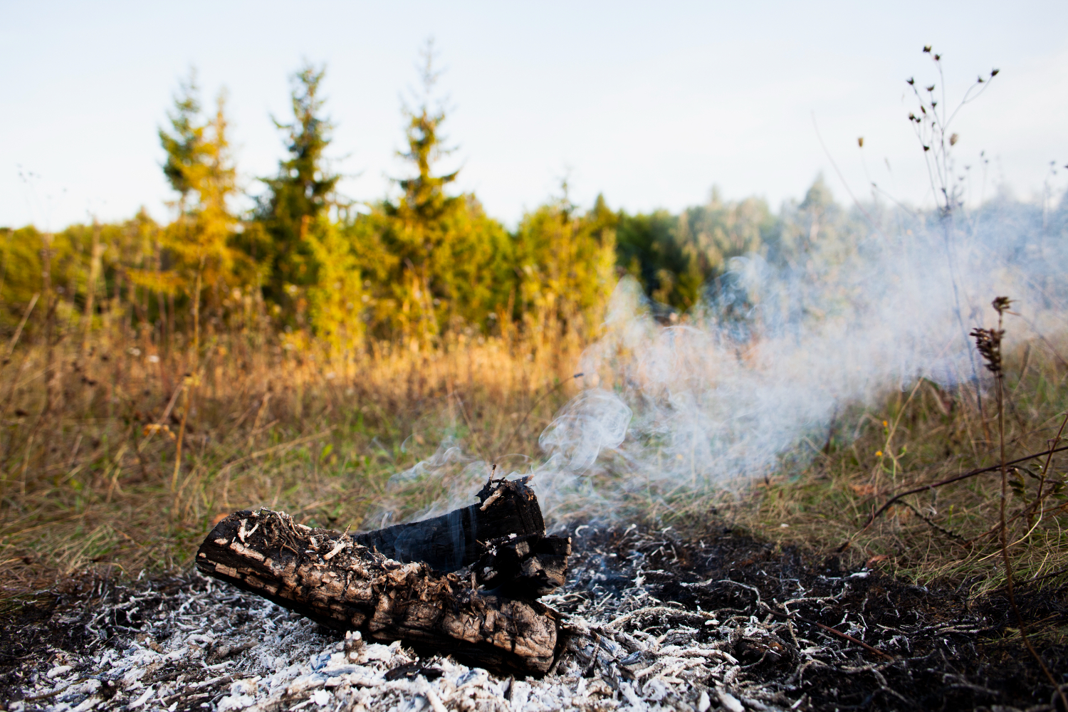 Investigación de incendios forestales