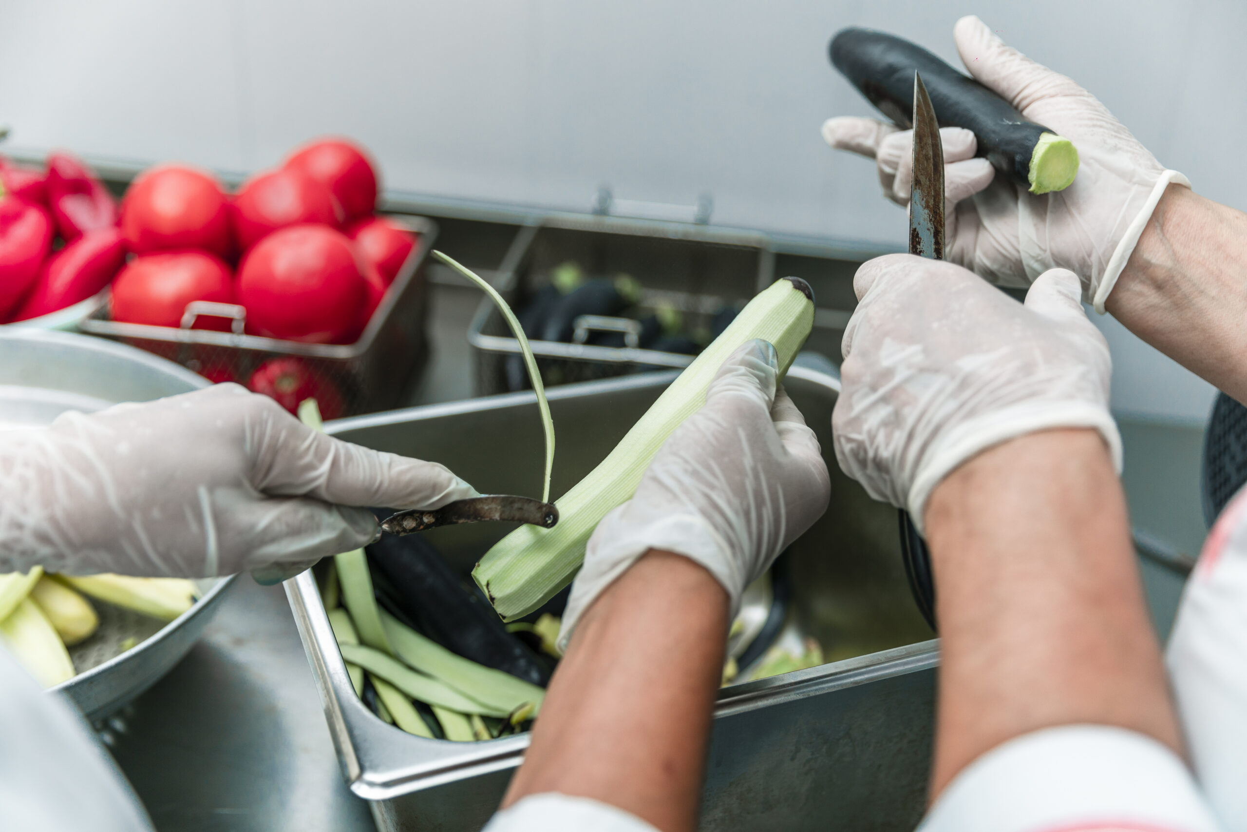 Elaboración y conservación de alimentos